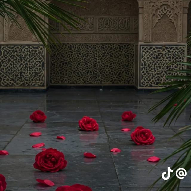 نوال العمري