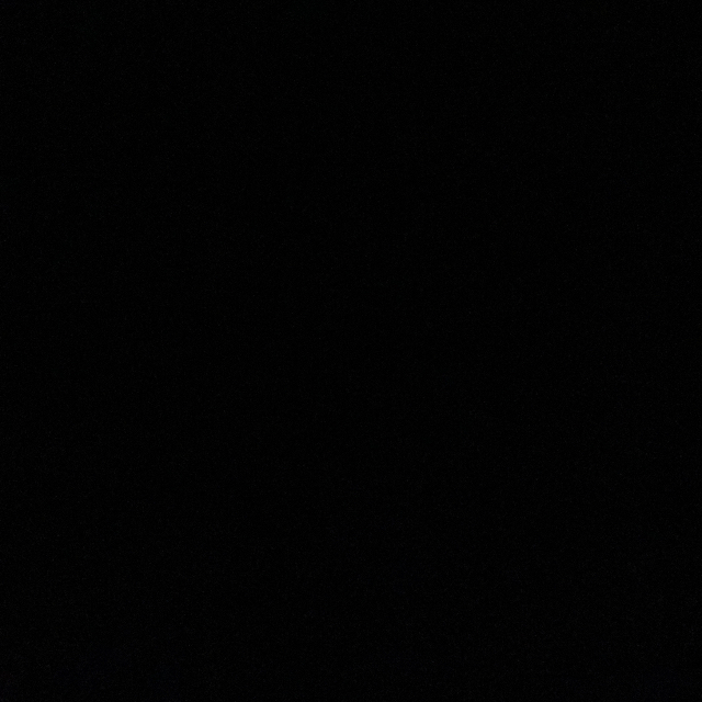 ميعاد الغامدي